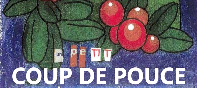 Journal Un petit coup pouce